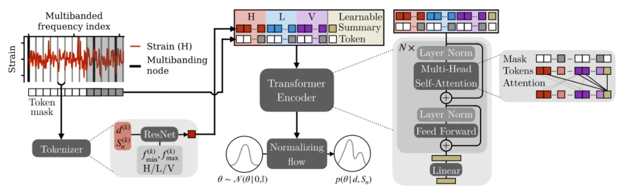 The DINGO-T1 architecture diagram from the paper: tokenization, transformer encoder, and normalizing flow